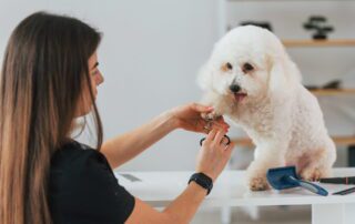 Pet industry owner after getting virtual support