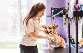 Pet care services business owner