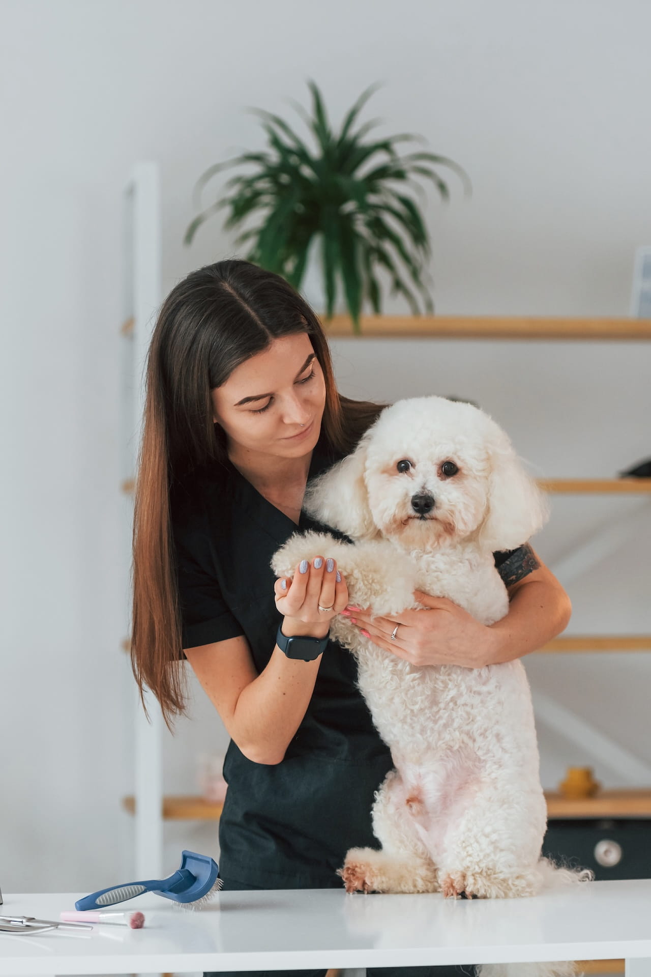 dog groomer focusing on pet after hiring virtual support