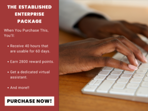 The Established Enterprise Package - 40 Hours