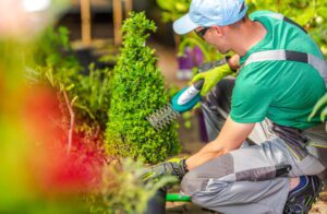 Landscaper trimming shrub in residential garden with professional equipment