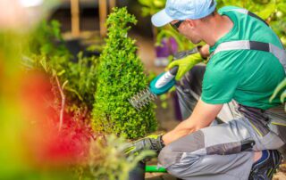 Landscaper trimming shrub in residential garden with professional equipment