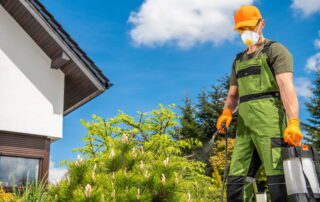 pest control company owner in spring time